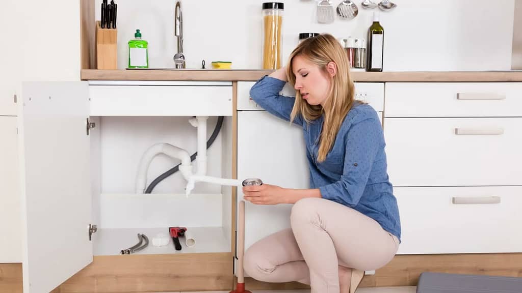 Emergency water leak response in Whitney homes - we're available 24/7