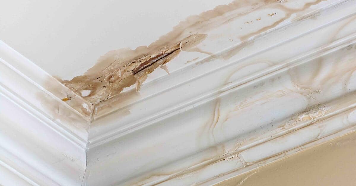 Leaky Ceiling in Enterprise? It Might Be a Slab Leak. 2 ceiling leaks