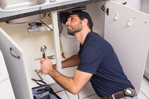 Plumbing Services in Paradise