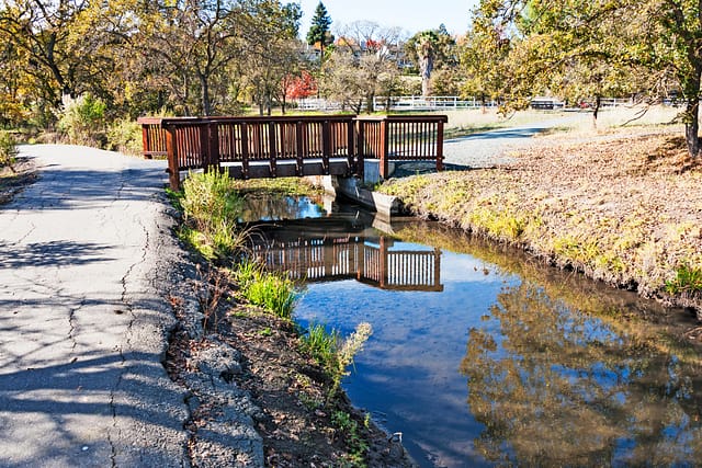 Shadow Creek