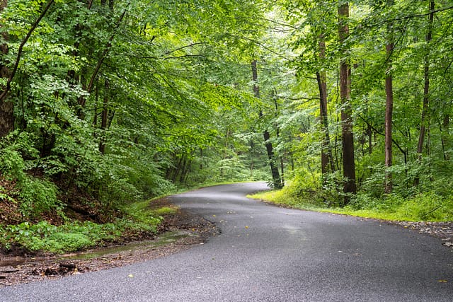 The Trails